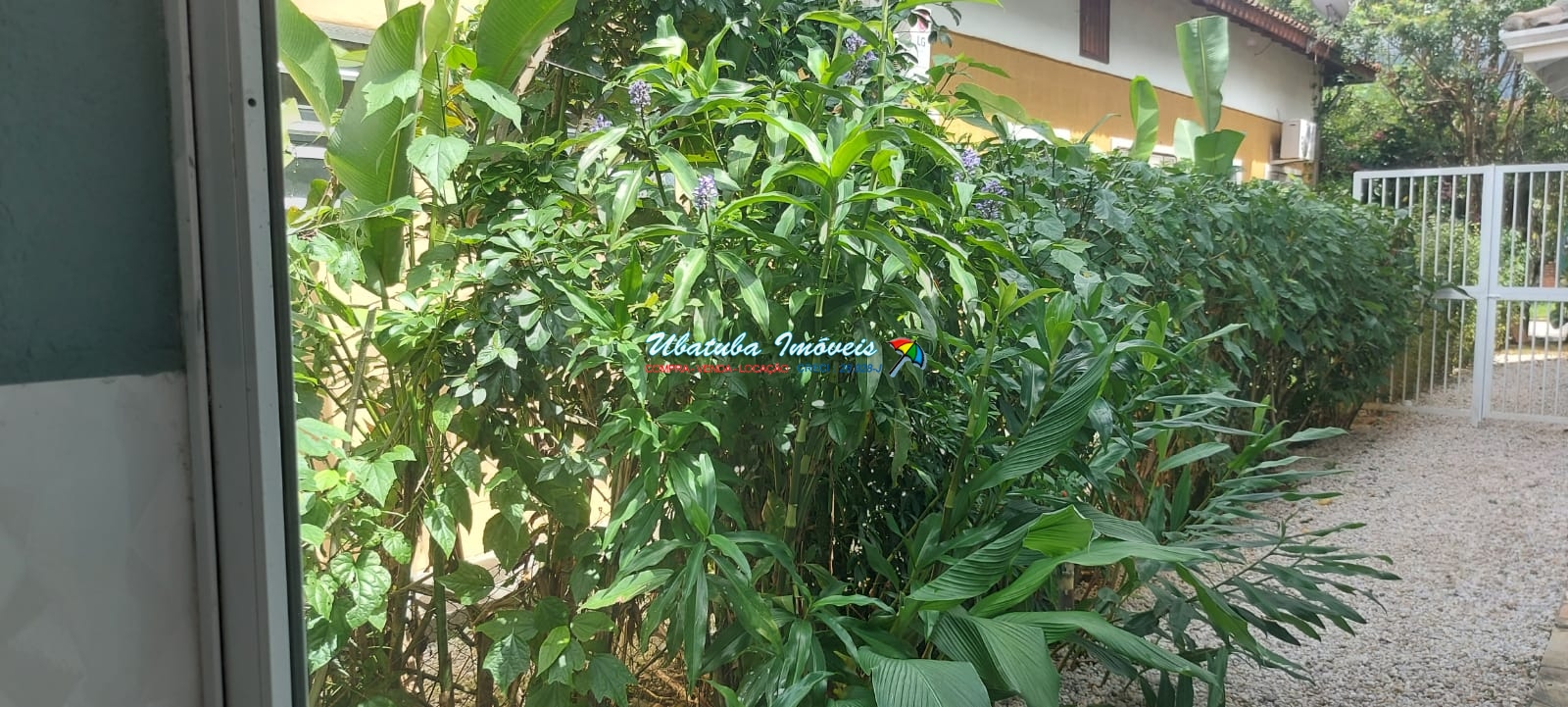 Linda casa em condomínio fechado ubatuba country - foto 5